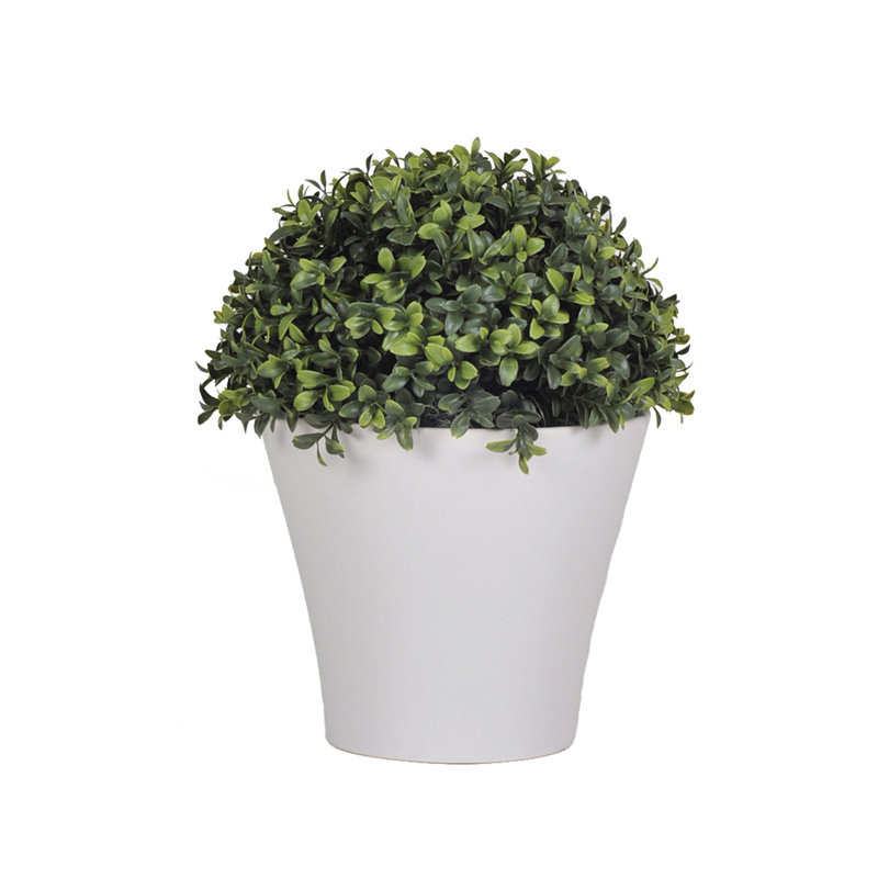 House of Silk Flowers Artificial Half Ball Boxwood Topiary in Pot & Reviews Wayfair